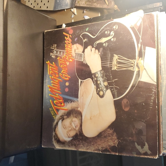 Ted nugent great gonzos record